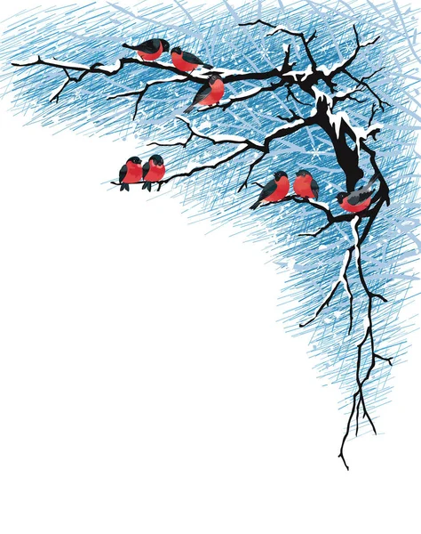 Pinsons sur les branches — Image vectorielle