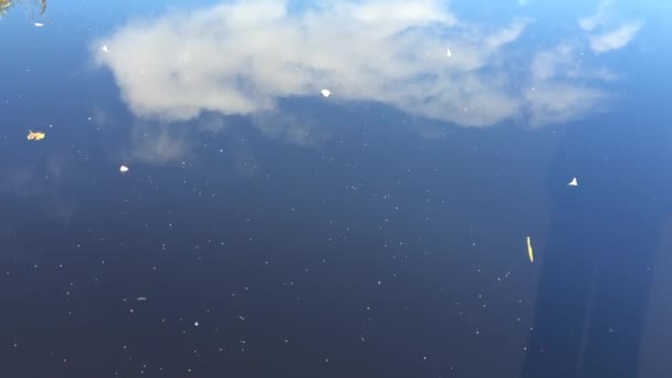 Kék ég tükörképét hideg folyó vízben — Stock videók