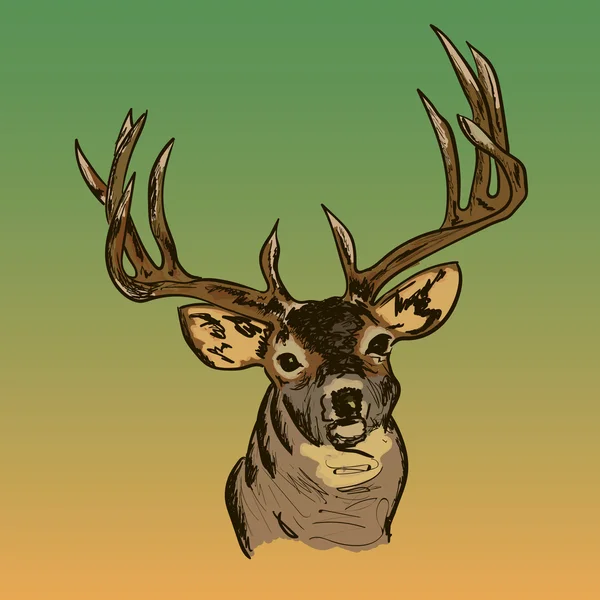 A deer vector portrait — Stock Vector
