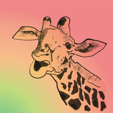 güneşli gün zürafa