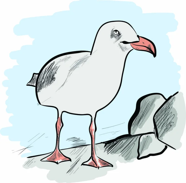 Mouette dans la journée ensoleillée — Image vectorielle