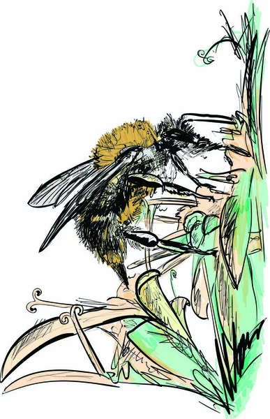 Bumblebee en el día de la sinergia — Vector de stock