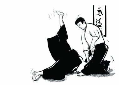 bir aikido her gün