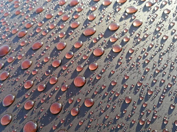 In the sunny day water drops — Stock Photo, Image