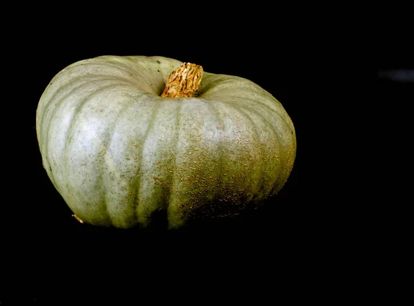 Pumpkin Black — Stock Photo, Image