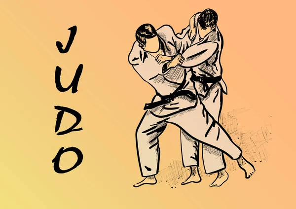 bir hergün judo
