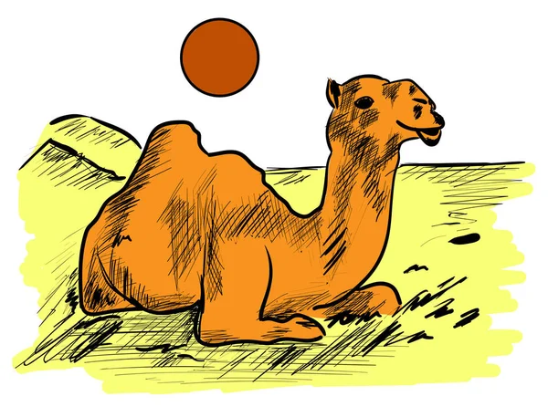 Camello. — Vector de stock