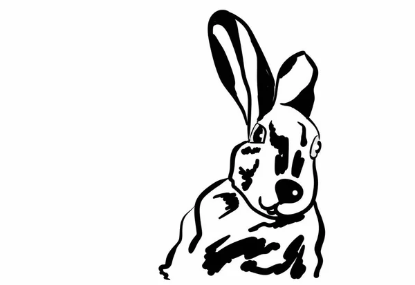 Een konijn op de witte — Stockvector