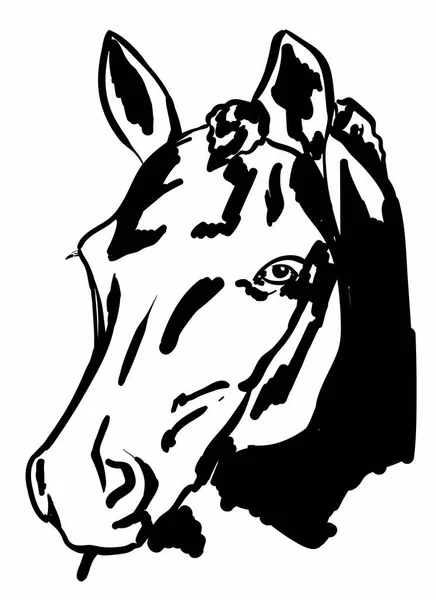 Illustrazione Cavallo — Vettoriale Stock