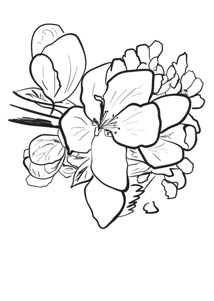Illustration Einer Weißen Blume — Stockvektor