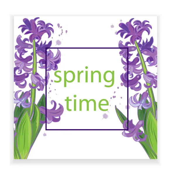 spring flowers purple hyacinths