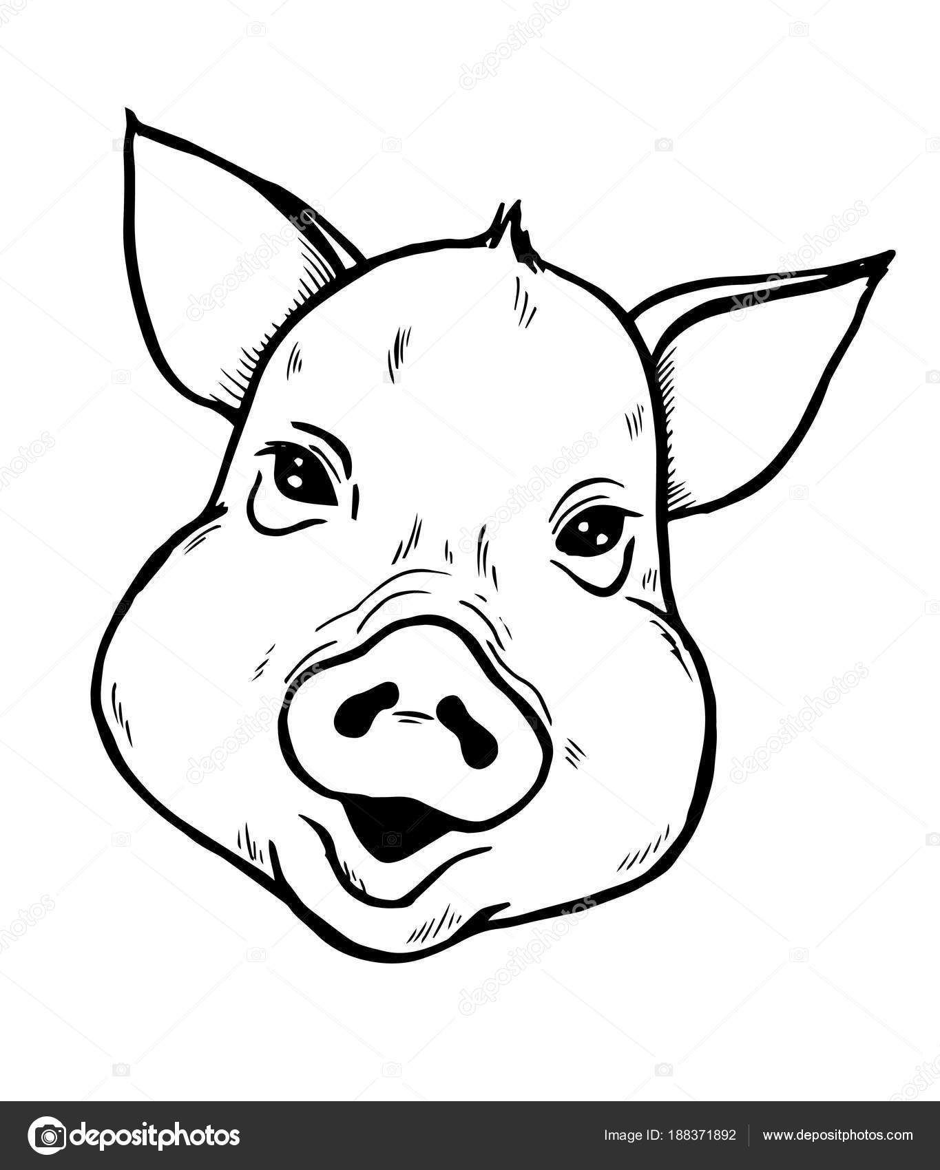Pig head sketch — Stock Vector © Minyanna 188371892