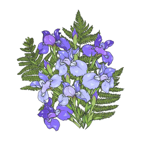 Iris flowers, purple and blue irises and fern leaves, seamless vector illustration