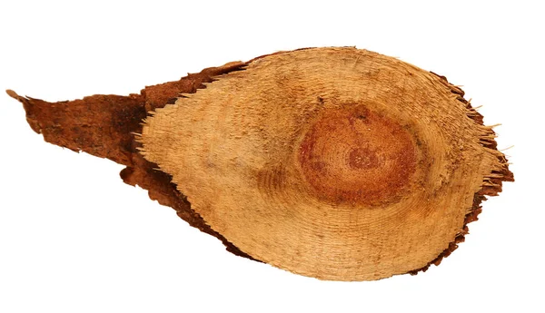 Trä logg slice kapade trädstam isolerad på vit, top view. — Stockfoto