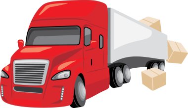 Kuzey Amerika boz ayısı üzerinde beyaz izole