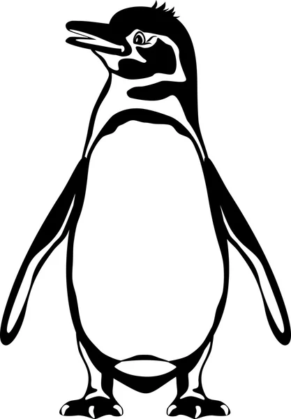 Pingüino de Galápagos. Esquema blanco y negro — Vector de stock