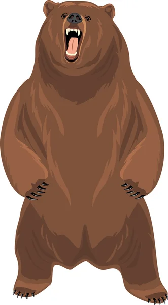 Grizzly oso aislado en el blanco — Vector de stock