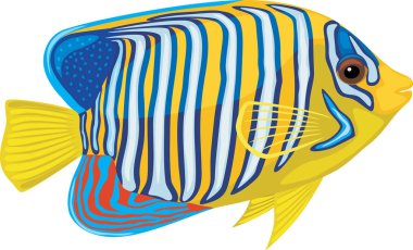 Beyaz arka plan üzerinde izole parlak tropikal balık