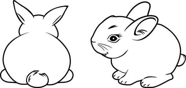Dos conejos. Dibujo del contorno — Archivo Imágenes Vectoriales