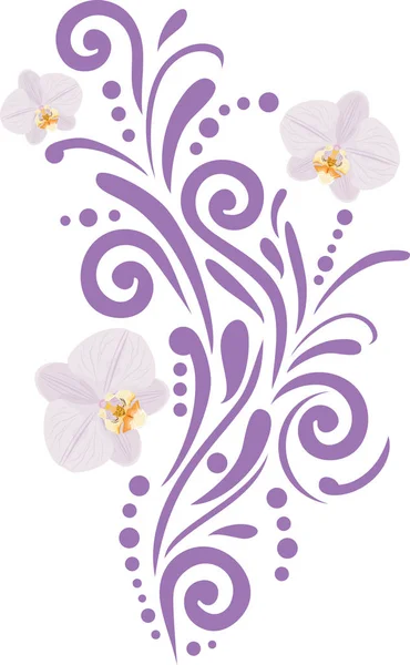 Elemento Ornamental Com Orquídeas Para Desenho — Vetor de Stock
