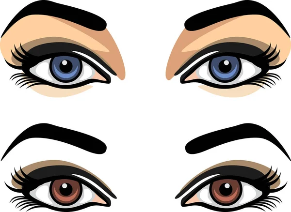 Синие Коричневые Женские Глаза — стоковый вектор