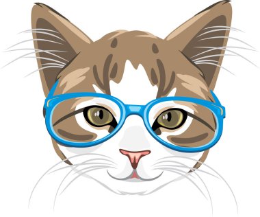 Mavi gözlüklü sevimli kedi yavrusu.