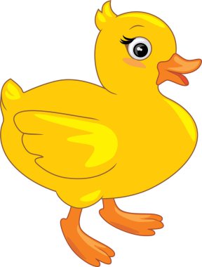 Beyaz üzerinde izole edilmiş şirin yürüyen ördek.