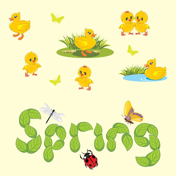 Fondo Primavera Con Patitos Pollos Insectos — Vector de stock