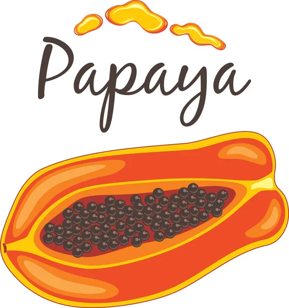 Papaya Con Gotas Jugo Para Diseño Camiseta — Vector de stock