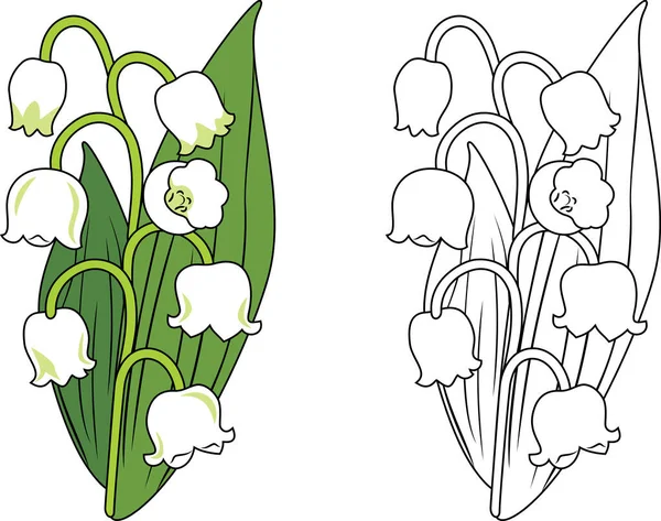 Lírios Vale Amostra Para Colorir —  Vetores de Stock