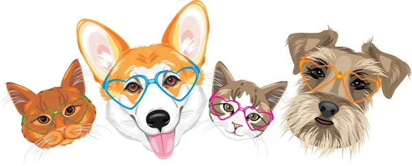 Corgi Galês Feliz Schnauzer Dois Gatos Bonitos Forma Coração Óculos — Vetor de Stock