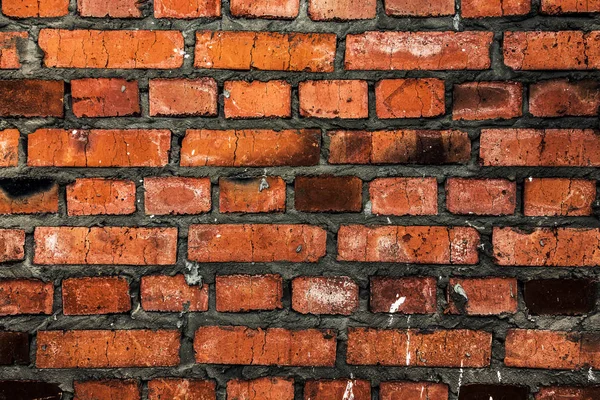 Ziegelmauer in Nahaufnahme. — Stockfoto