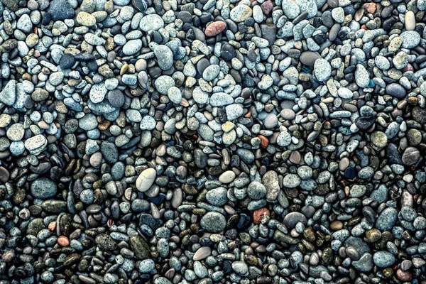 Pebbles molhados na praia . — Fotografia de Stock