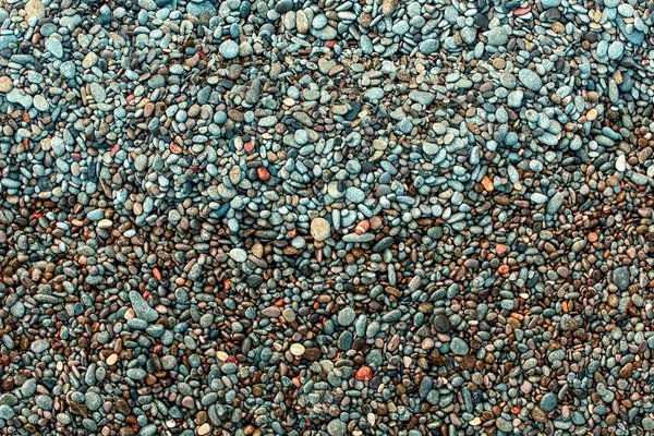 Wet pebbles on the beach. — Stock Photo, Image