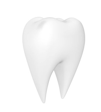 Beyaz arka plan üzerinde saf beyaz molar diş yakın çekim.