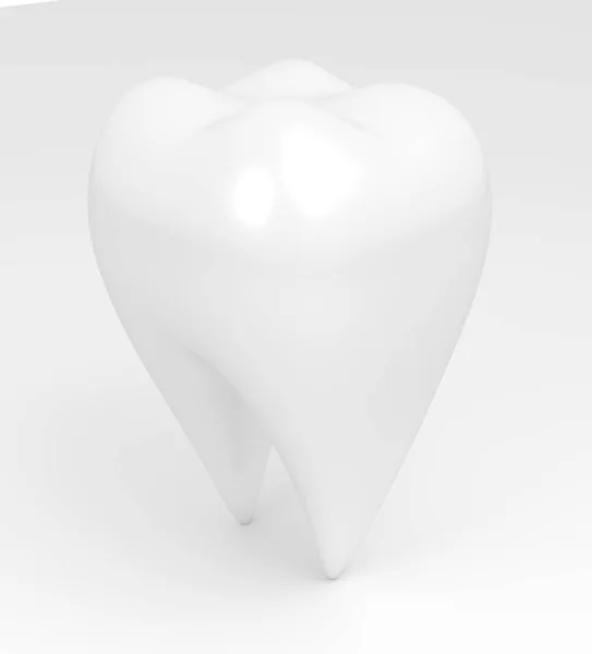 Pure white molar tooth on a white background close-up.