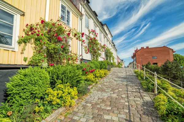 Karlshamn city street view with blooming rose flowers — Stock Photo, Image