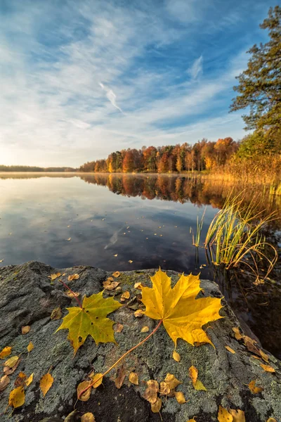 Paisagem do lago de outono sueco em vista vertical — Fotografia de Stock