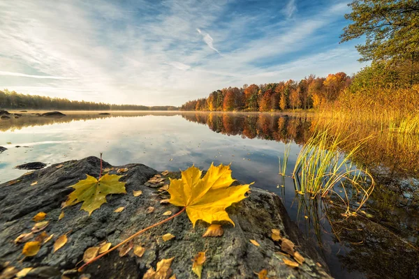 Idylliczne jesiennej scenerii jeziora z liść klonu na skale — Zdjęcie stockowe