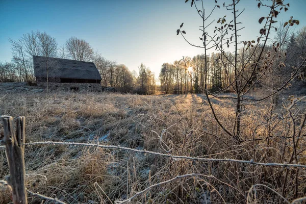 Αργά το φθινόπωρο πρωί στο φυσικό τοπίο της σουηδικής — Φωτογραφία Αρχείου