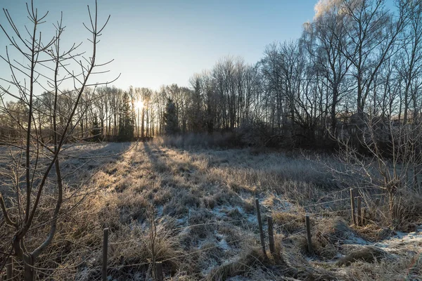 Frozy ochtend op Zweedse boerderij veld — Stockfoto