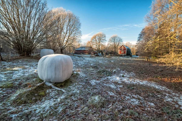 Swedish farm in cold season — Stock Photo, Image