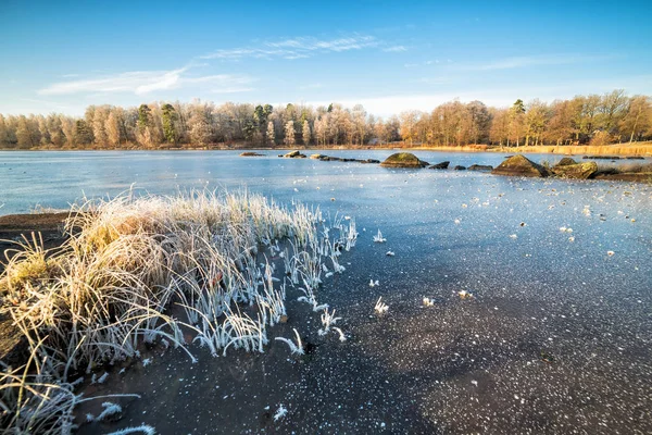 First frost on the lake — Stock Photo, Image