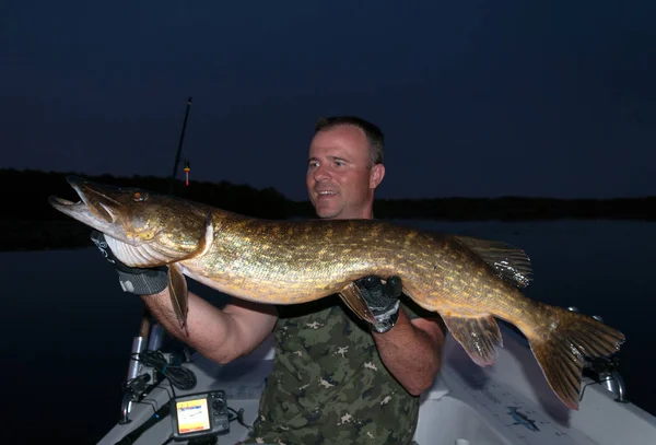 Pesca Notturna Grandi Lucci — Foto Stock