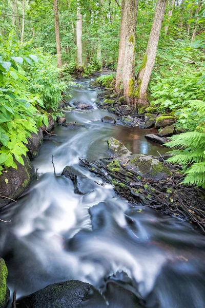 夏日风景中的瑞典小溪 — 图库照片