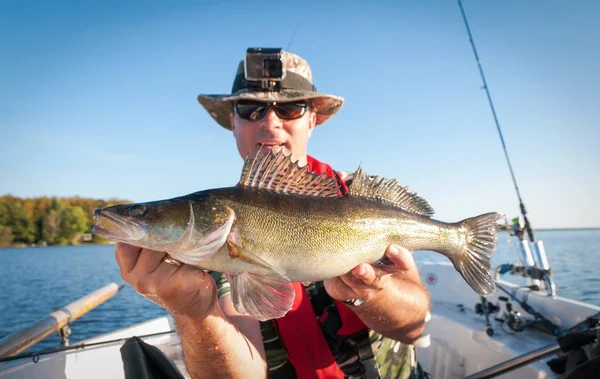 Zander Setembro Lago Sueco — Fotografia de Stock