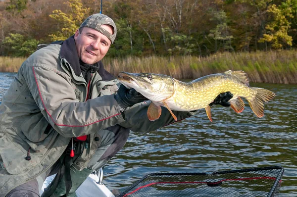 Temps Libération Pour Brochet Automne — Photo