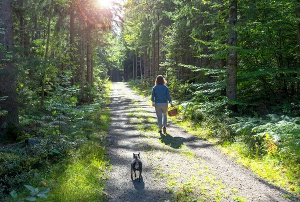 Chica Con Perro Buscando Pantano Bosque — Foto de Stock