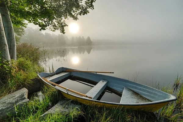 スウェーデンの湖の上の牧歌的な霧の朝 — ストック写真