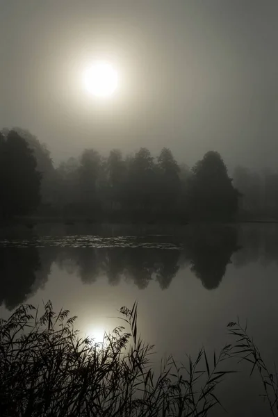 湖面上的雾蒙蒙的早晨 垂直的景色 — 图库照片